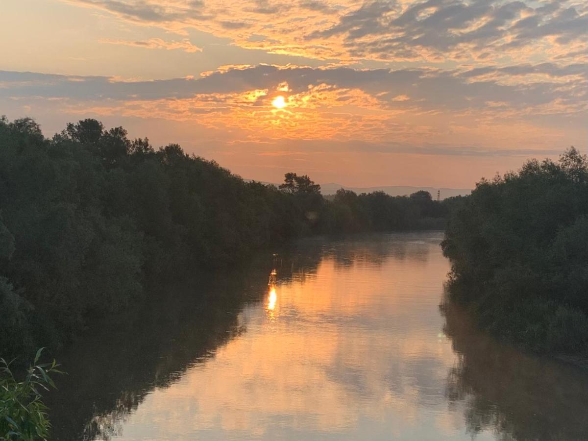 Casa Lui Mosu Villa Gyulafehérvár Kültér fotó